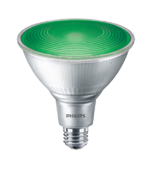 LED PAR38 Green 13.5 W E26 120Vac