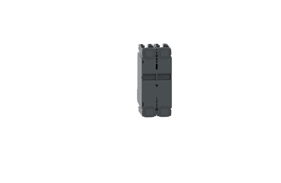 Interruptor Termomagnético ComPactT nueva generación NSX100F 25 A 2P TMD