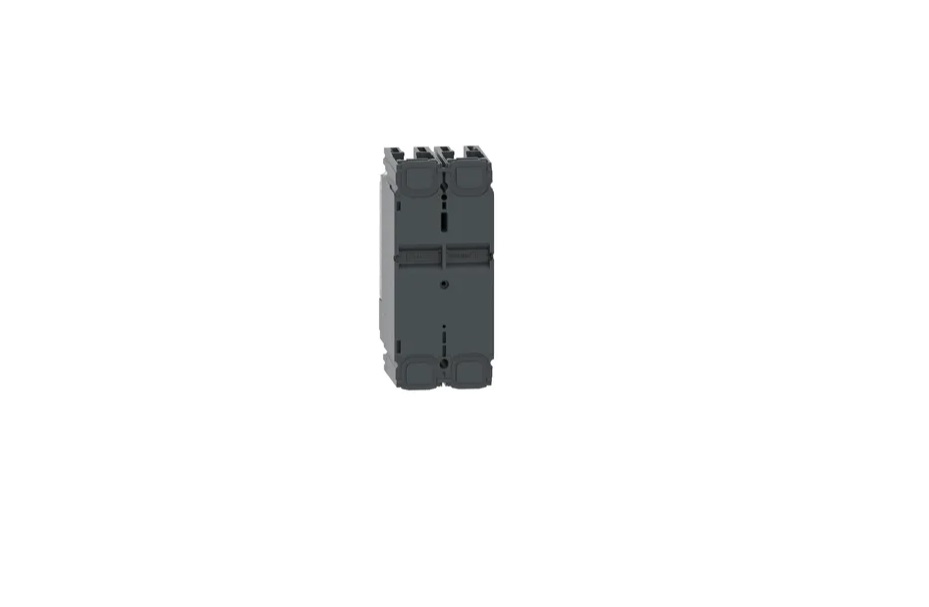 Interruptor Termomagnético ComPactT nueva generación NSX100F 40 A 2P TMD