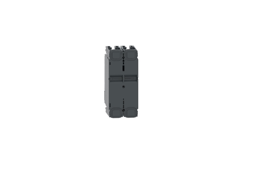 Interruptor Termomagnético ComPactT nueva generación NSX100F 100 A 2P TMD